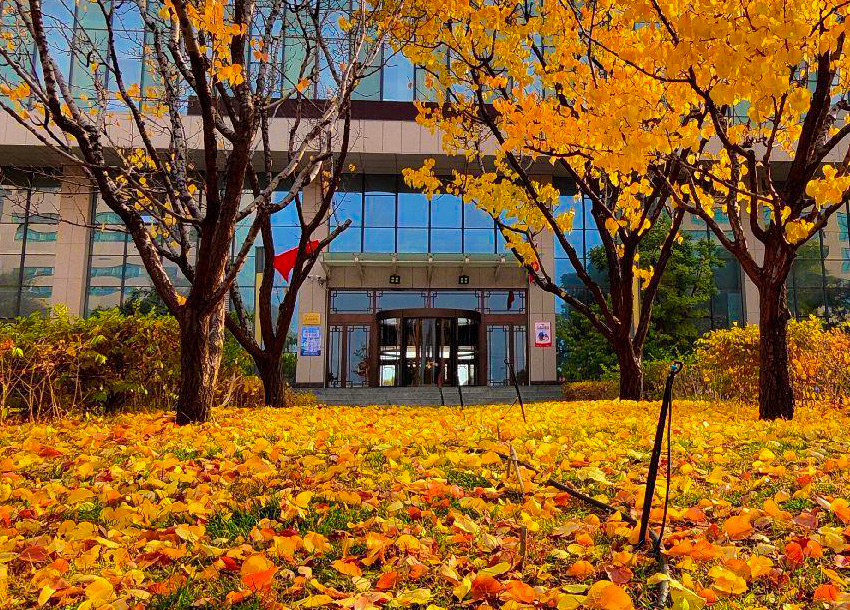  兰州技校学厨师，选择中餐还是西餐？