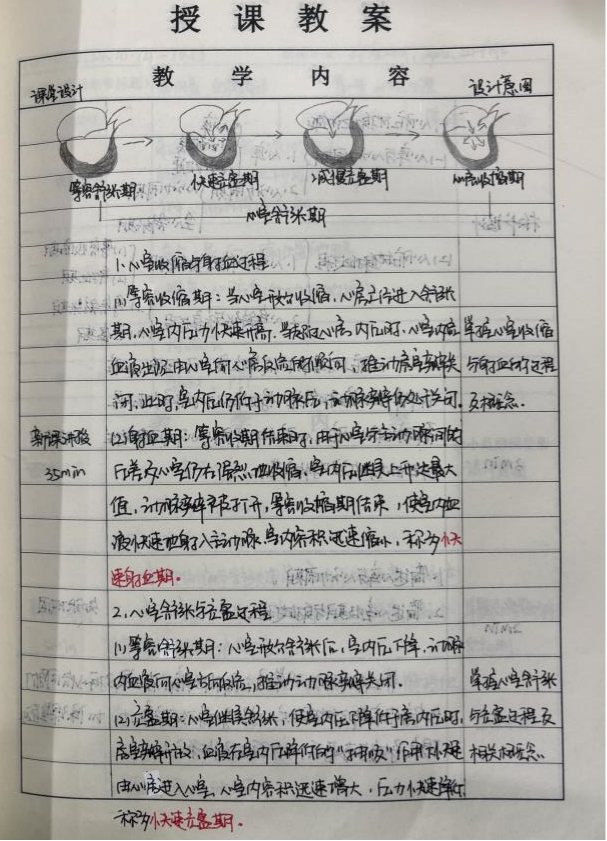 优秀教案赏析 | 探秘人体：从生理到解剖的知识之旅